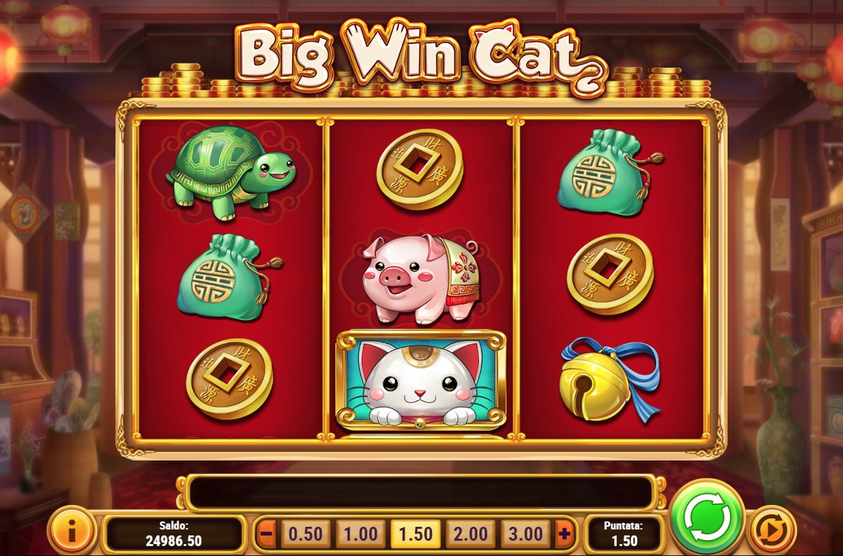 казино кат cat casino site win